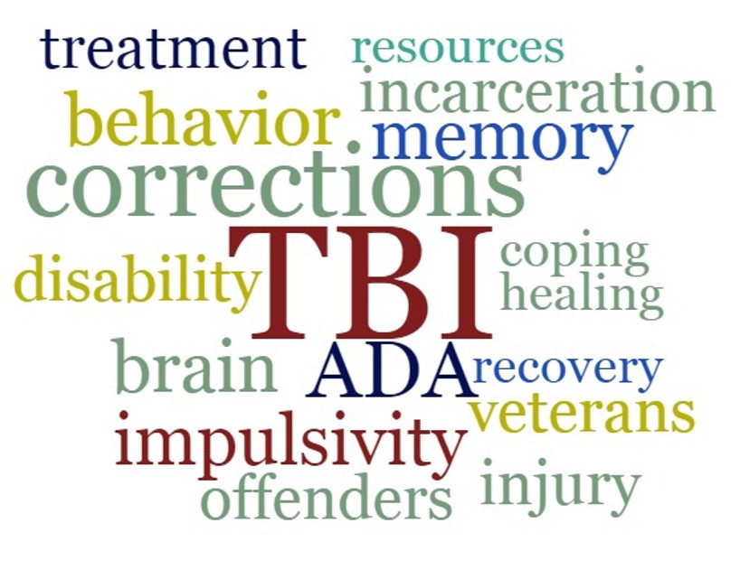 Word cloud with words representing TBI and corrections.