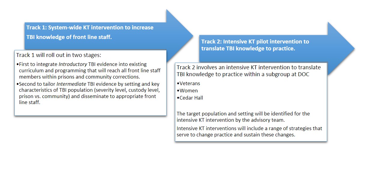 Overview of system wide and intensive pilot. 